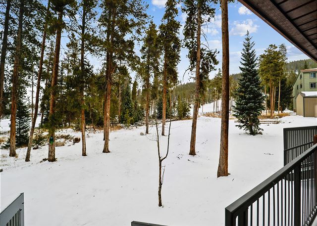 Exterior viewpoint - Atrium 003 Breckenridge Vacation Rental