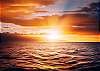 Maui is famous for our gorgeous sunsets! 