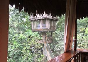 Treehouse 9 45 feet -Riverview sleeps 3 in 1 king or 2 twins +cot