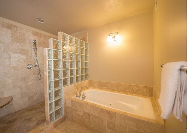 Master bathroom