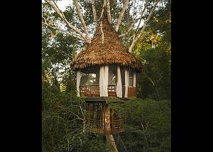 Treehouse 2 Laguna Vista 40ft Sleeps 3 (1 king or 2 twin/ cot)