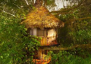 Treehouse 3 Rio Vista - 40ft sleeps 3 (1 king or 2 twins w/cot)