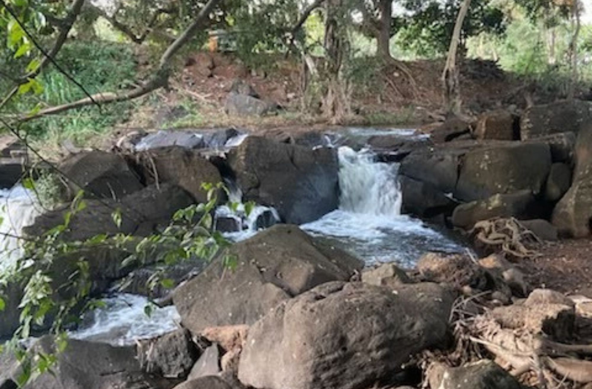 Waikomo Stream waterfall located just across the street.