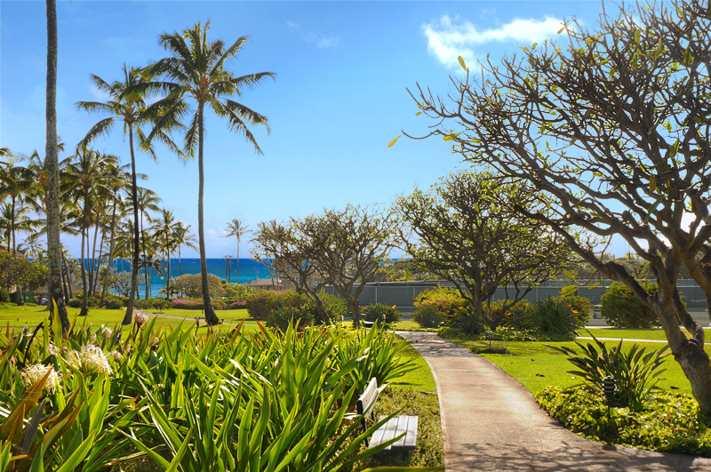A view down the green belt walkway just outside Kahala 312, your path to ocean paradise!