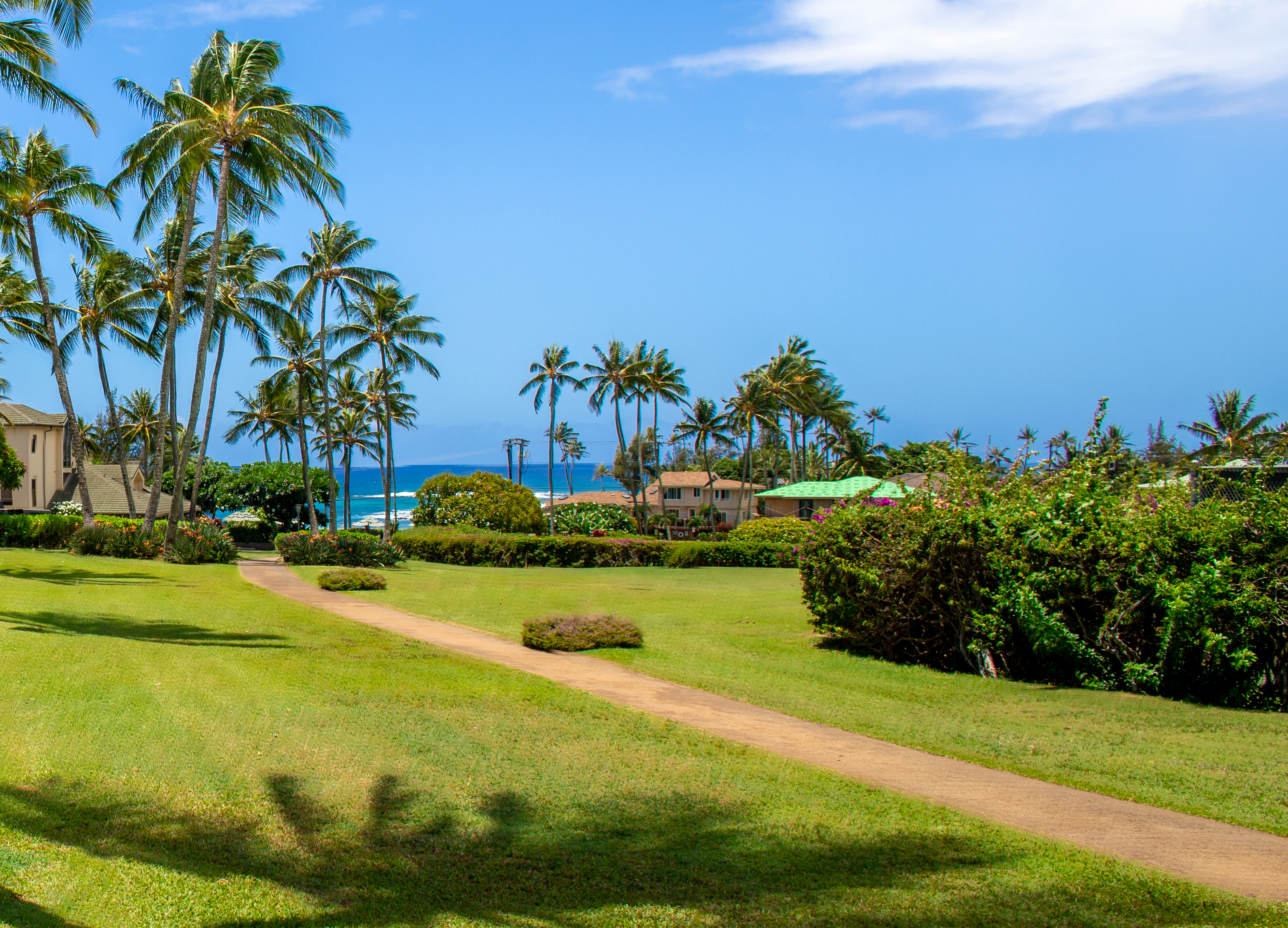 From Kahala 312, it's just a short walk to the beach!