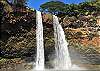 Wailua Falls is one of the most breathtaking waterfalls on the island, just a short drive from the airport when you land!