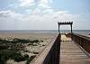 Boardwalk to the beach - Just steps away from your door!