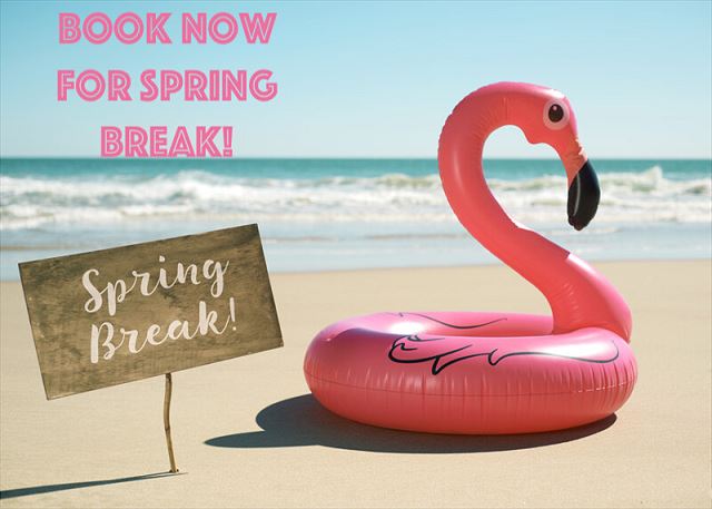 Beach Nut - Located in Pointe West -