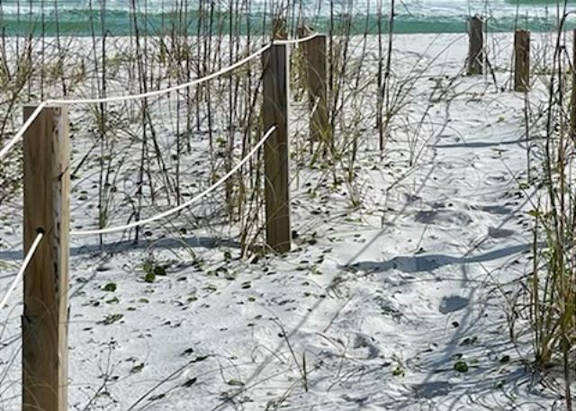 Path to beach