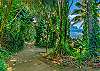 Pali Ke Kua paved path to Hideaways beach