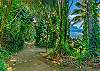 Pali Ke Kua's tropical paved path to Hideaways beach