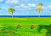 This is why we call the condo Hale Nene the Hawaiian Geese (Hawaii state bird)  love to stroll by