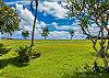 Beautiful grounds outside the lanai, Albatross fledgling under the tree
