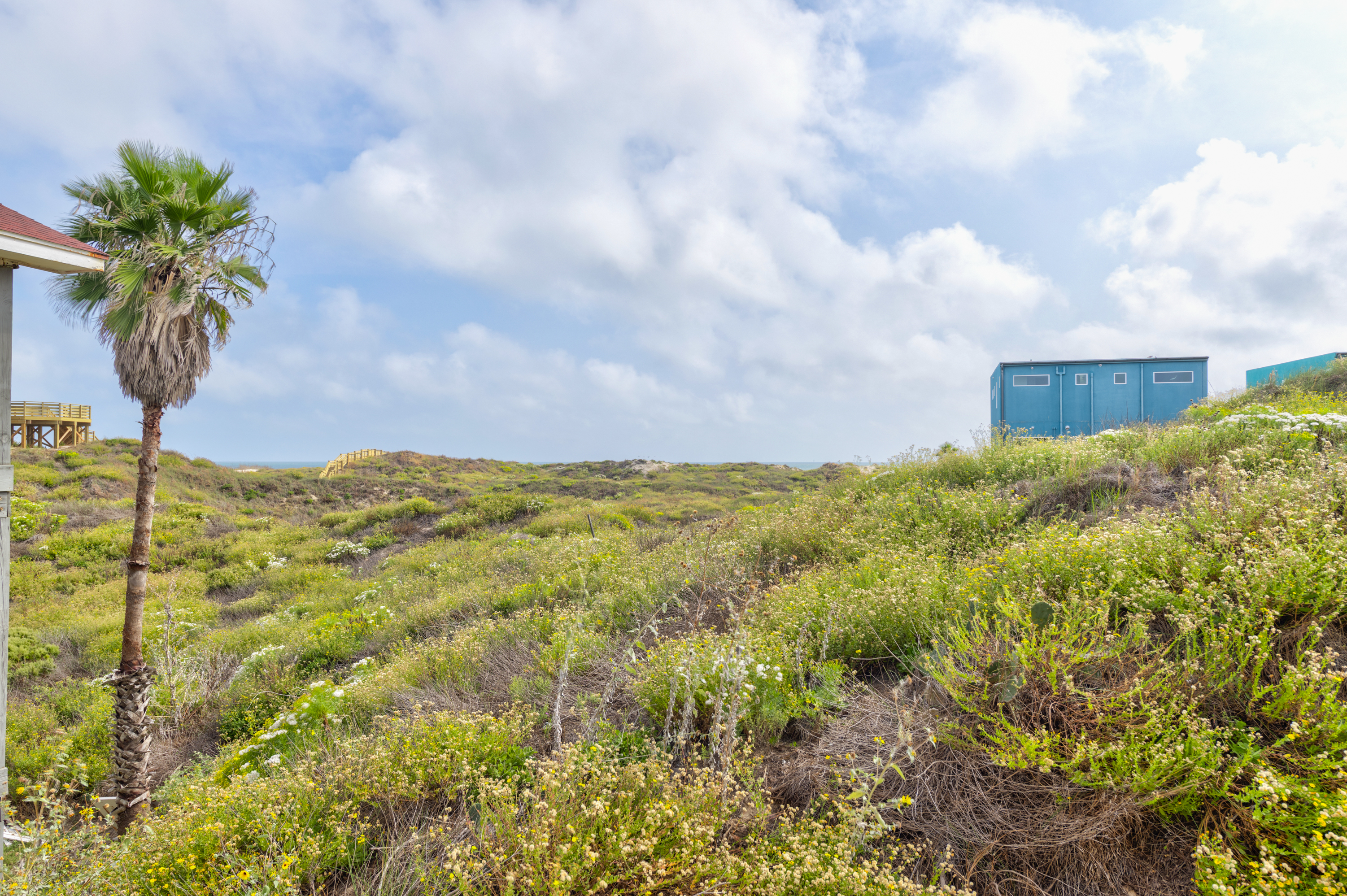 After Dune Delight PP839 | Photo 56