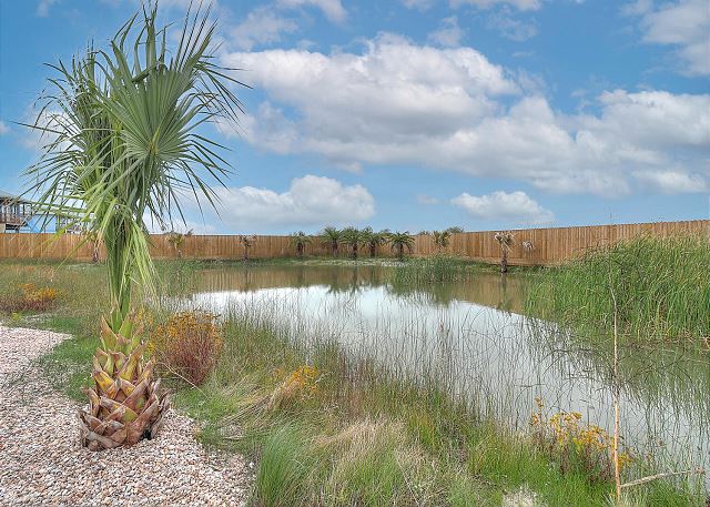 Bird Watching Pond 