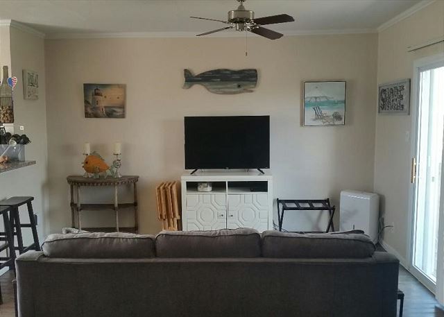 Living area with pull out couch