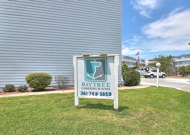 Bay Tree