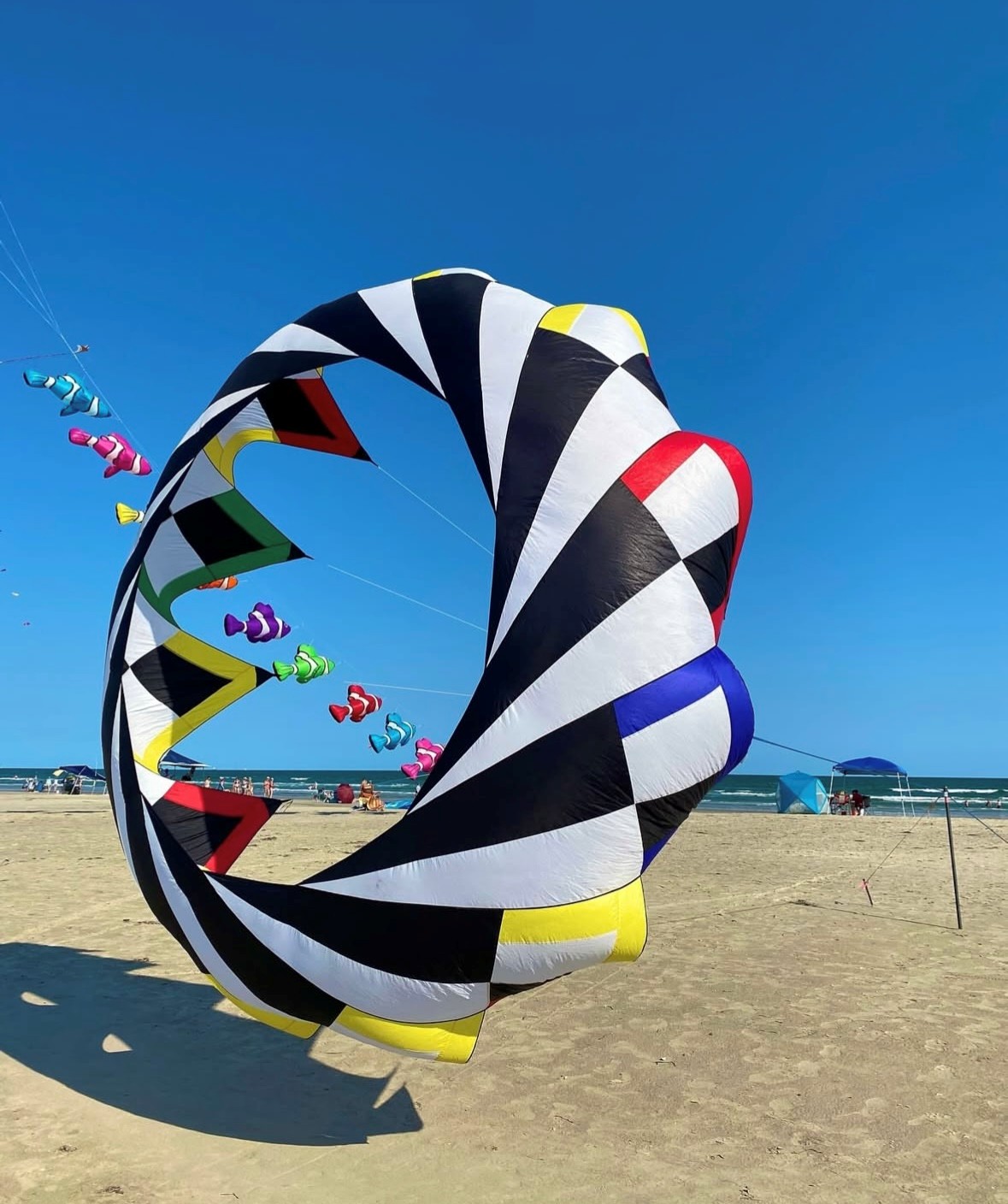 Close proximity to the beach. Enjoy the annual Kite Fest in Port Aransas!