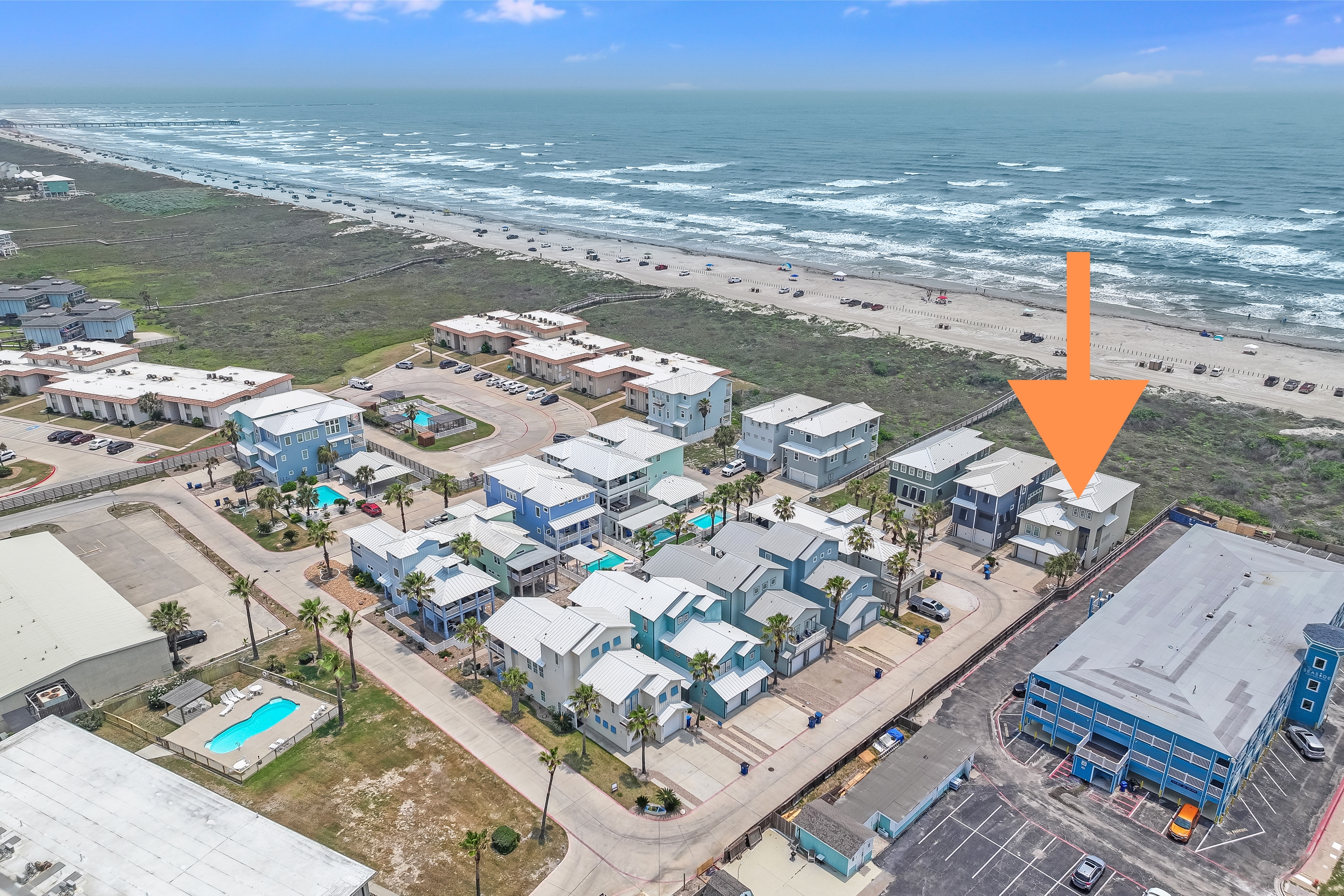 Dolphin Paradise BB928 2