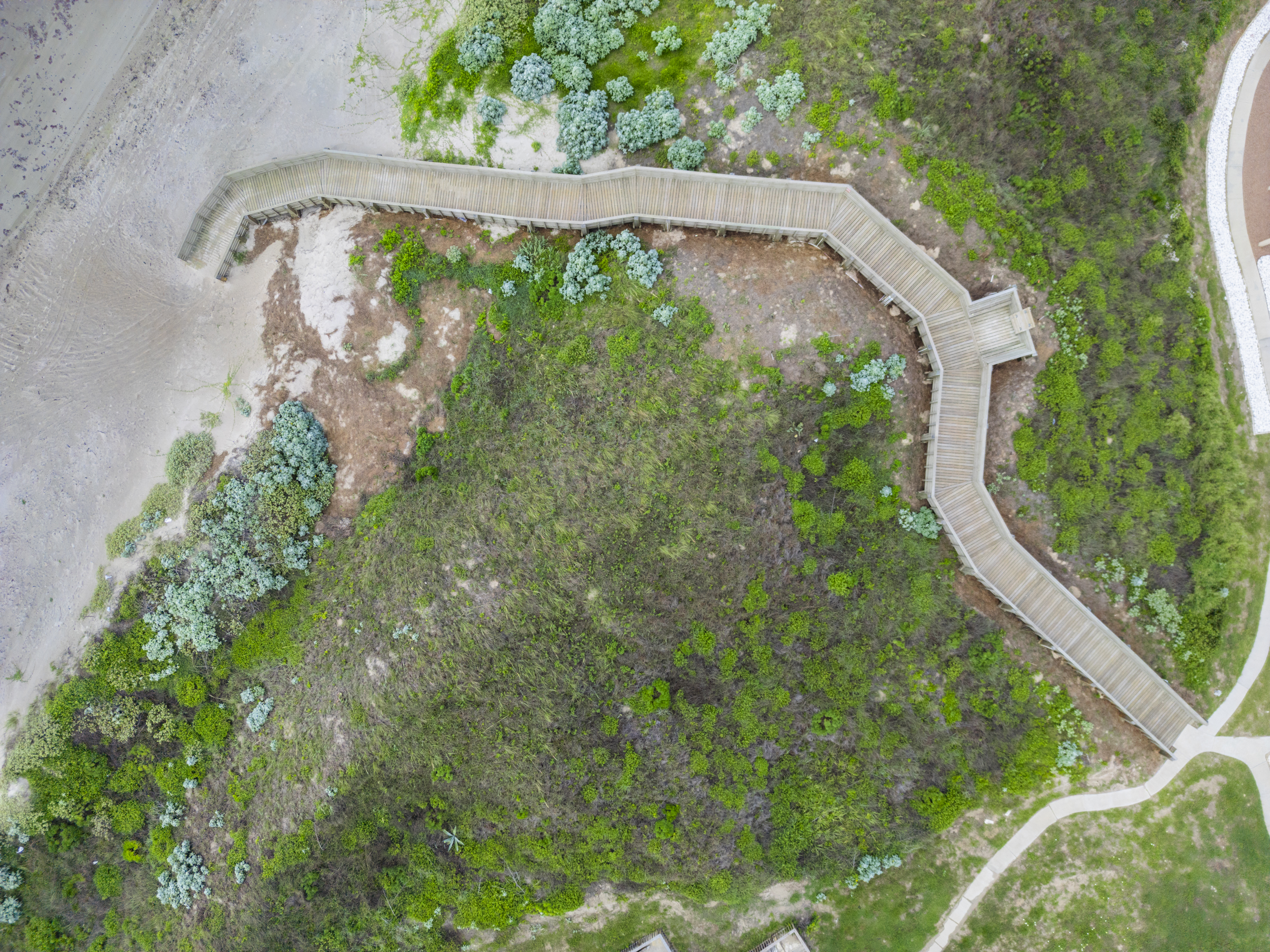 Overhead shot captures the boardwalk winding through the dunes towards the Gulf Coast Shore