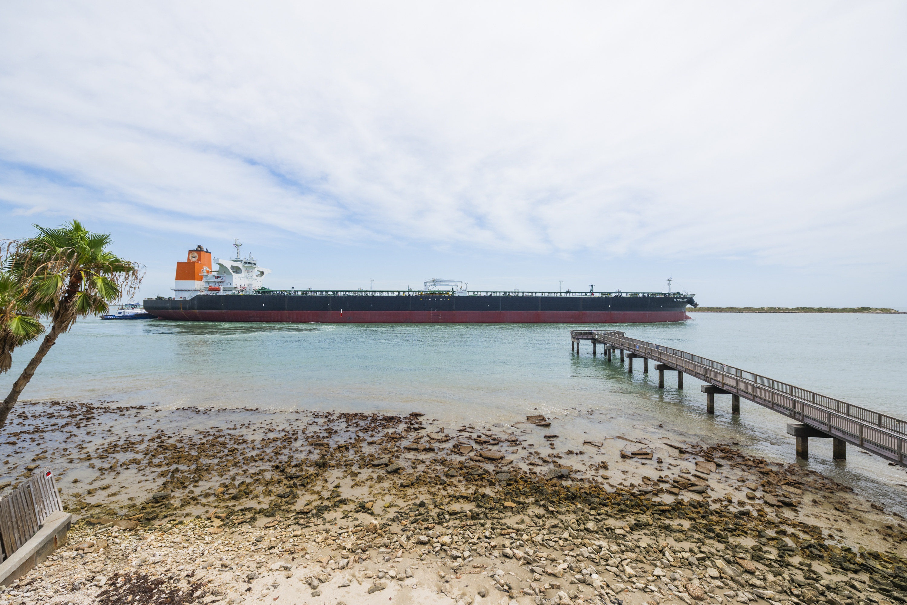 Added Thrills! Watching the Ships PassThrough, Often Ushered by Dolphins