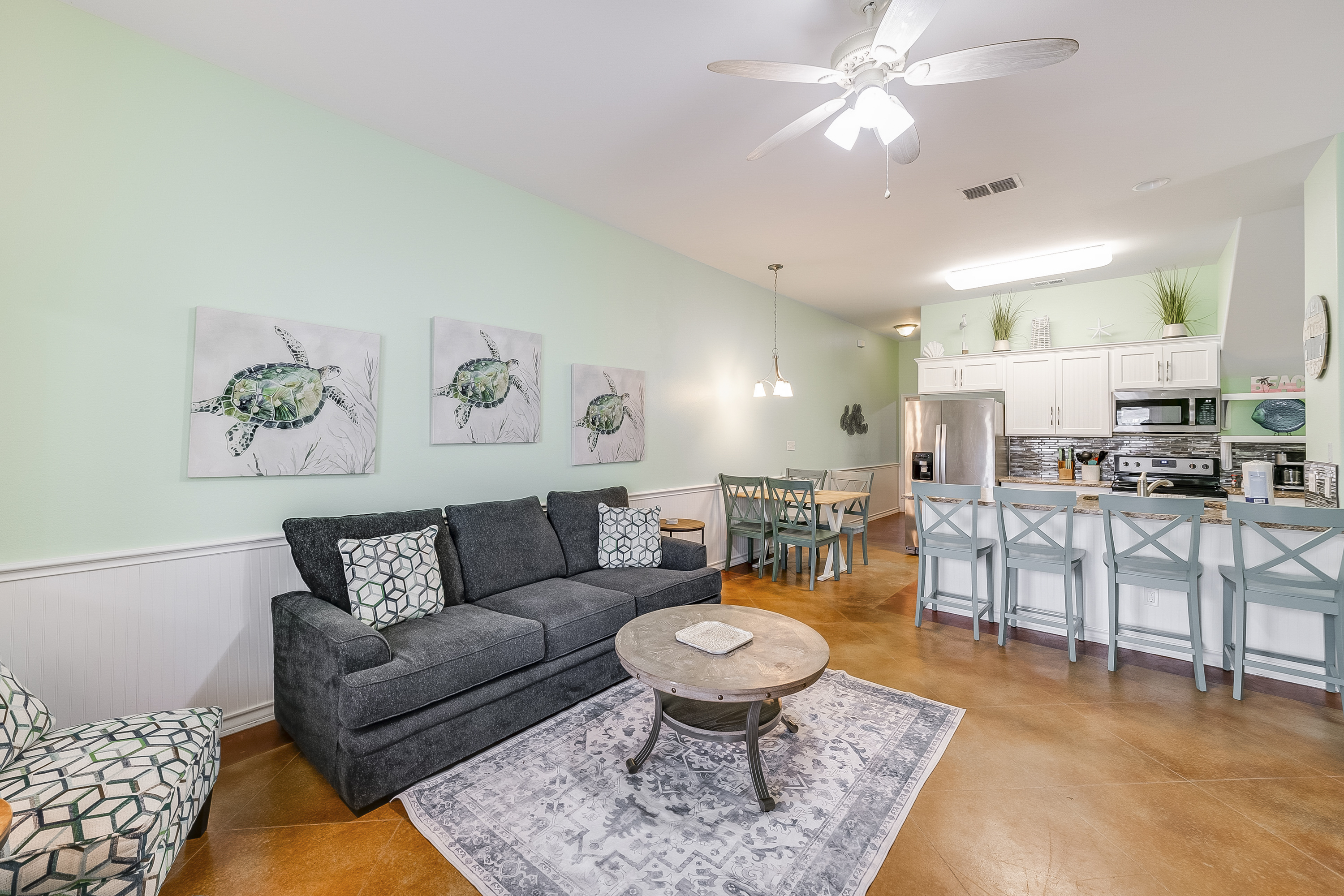 Turtle Time PB213 | Photo 5