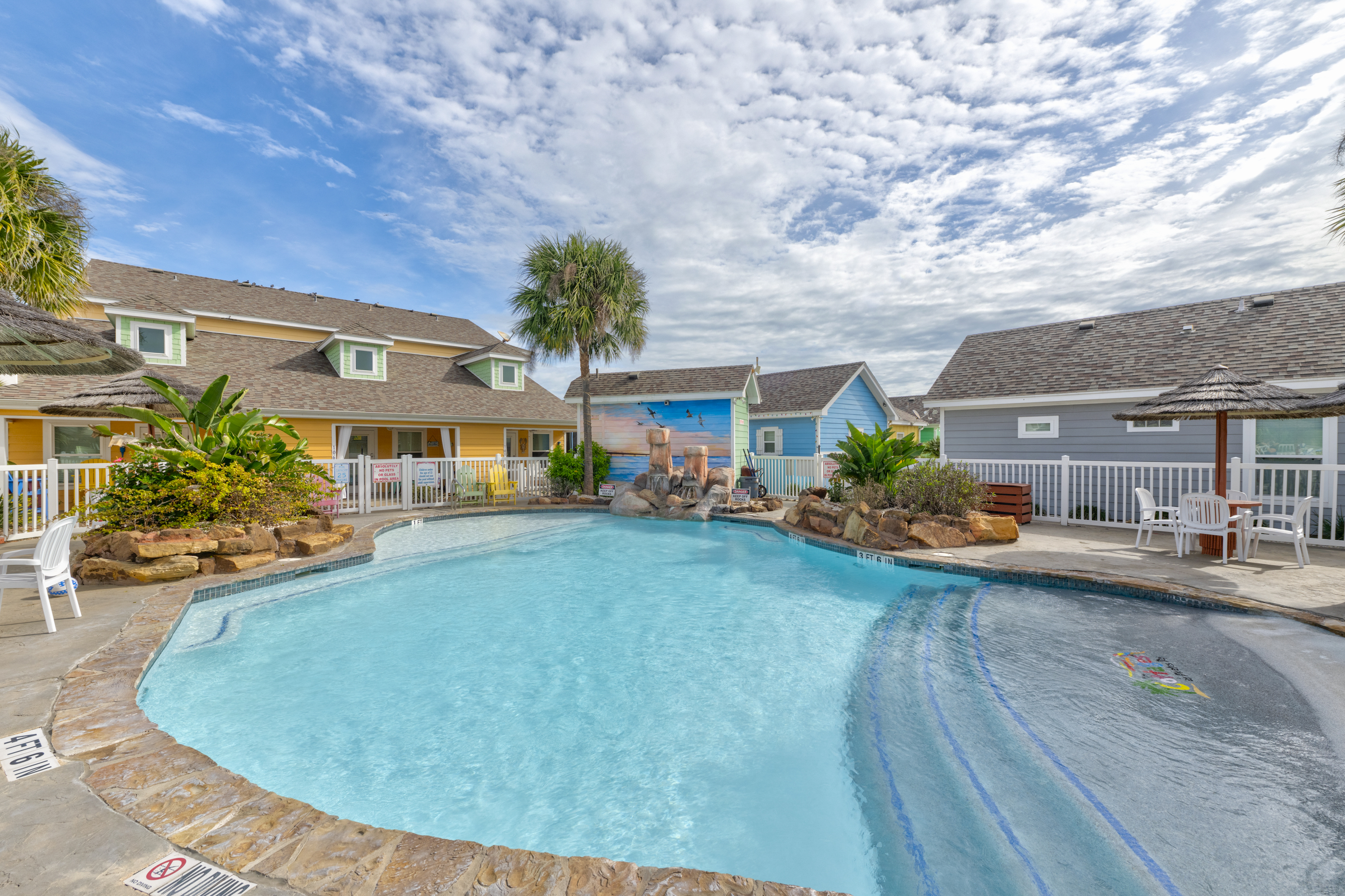 Turtle Time PB213 | Photo 33