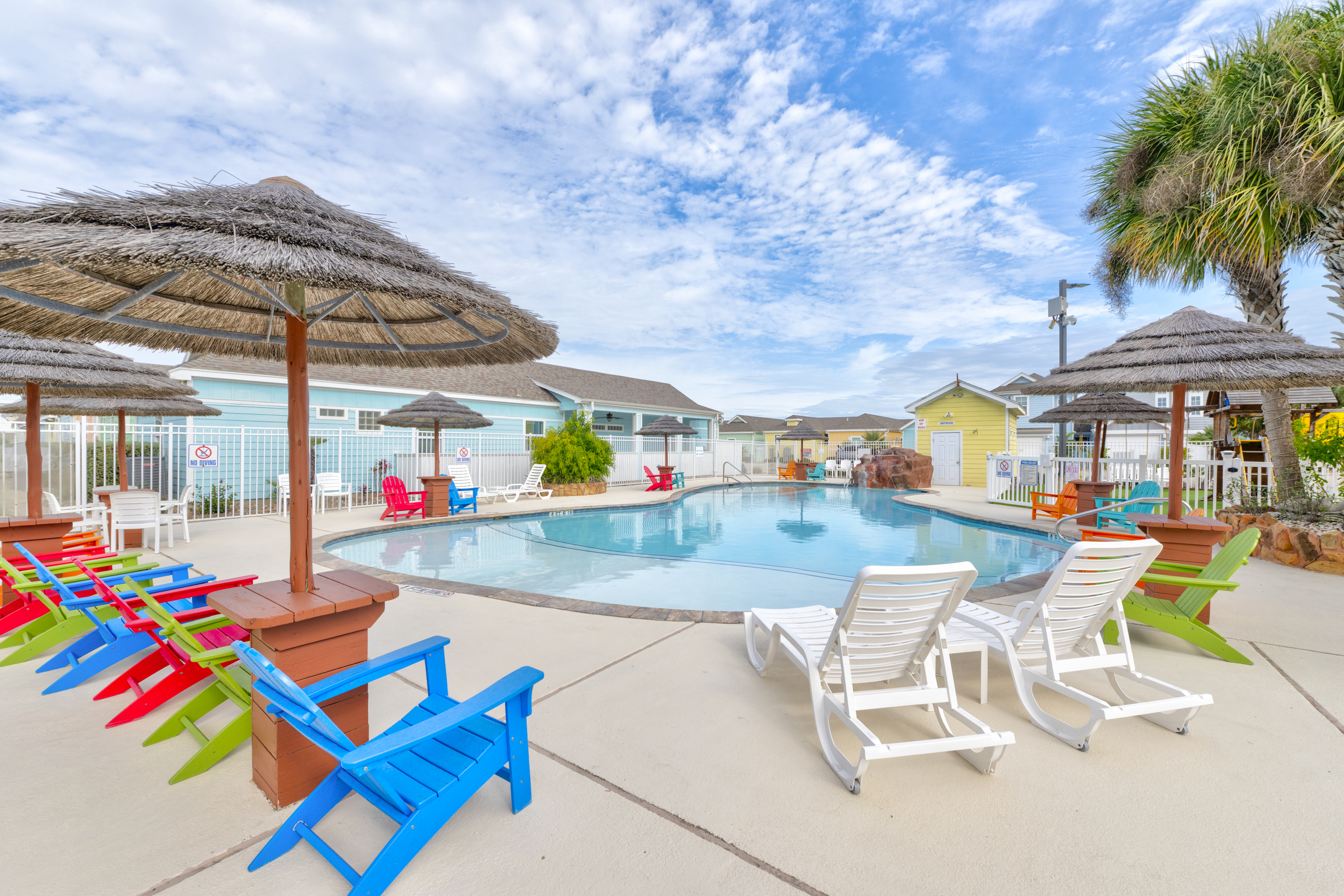 Turtle Time PB213 | Photo 50