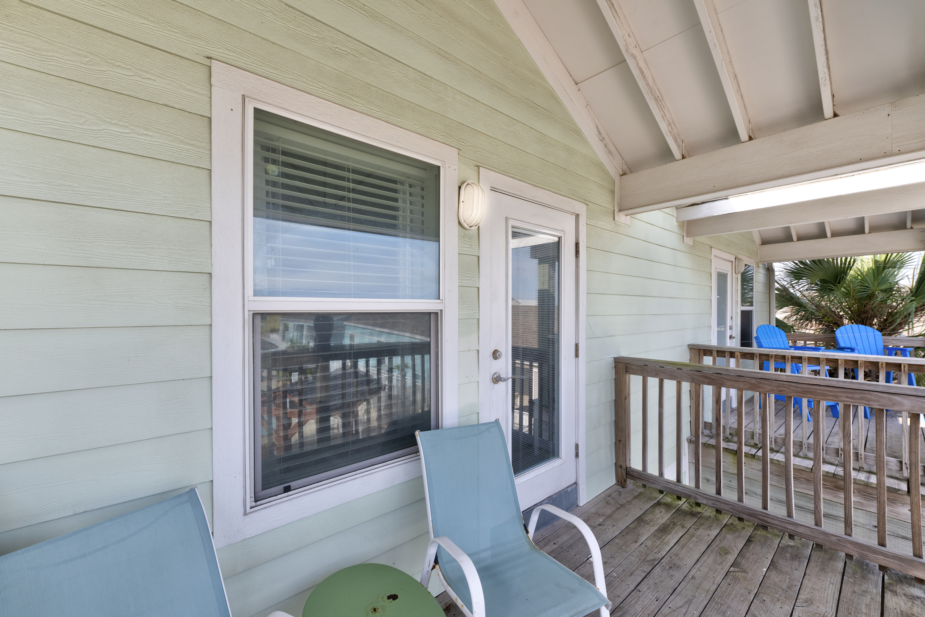 Turtle Time PB213 | Photo 30