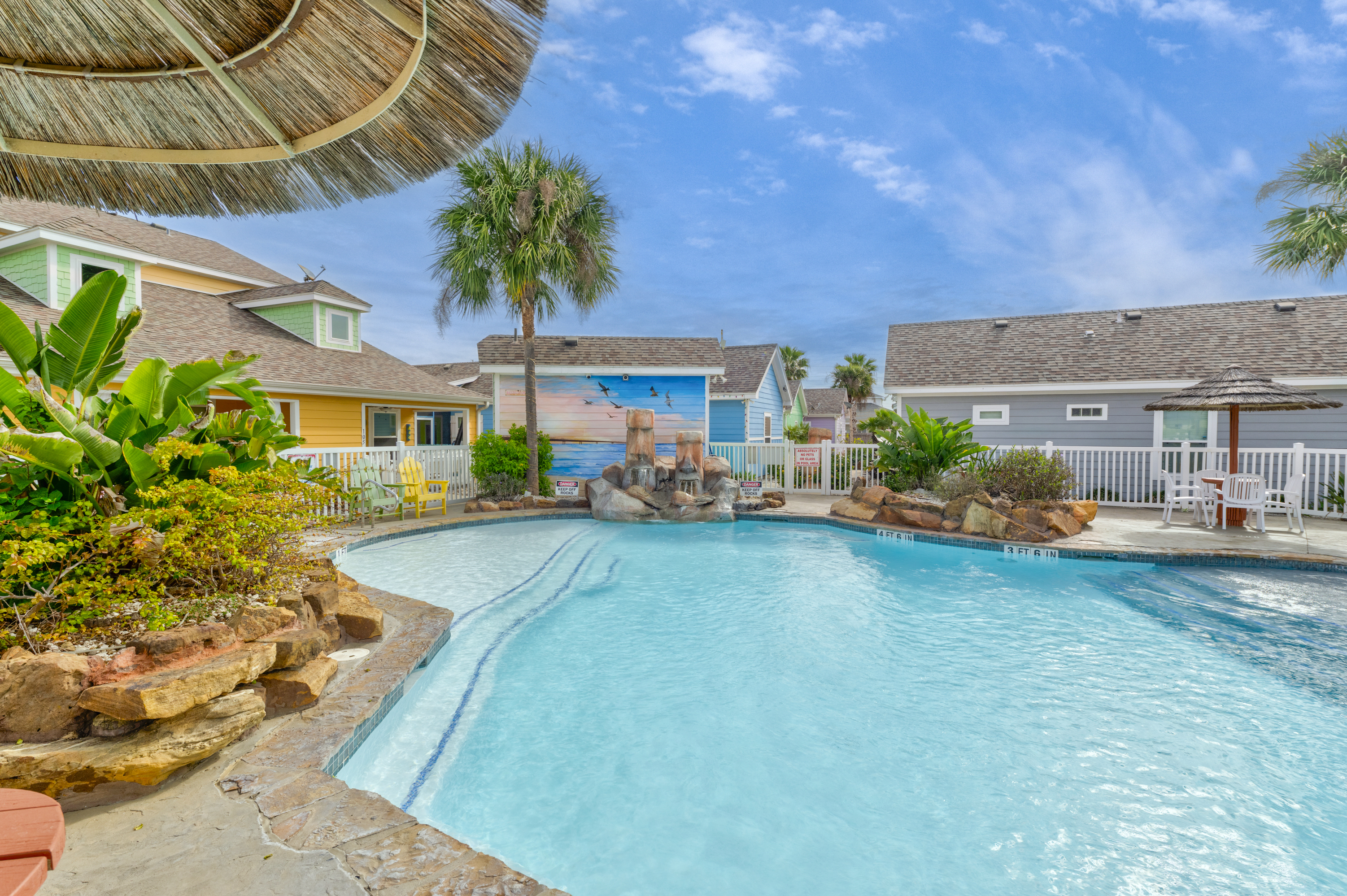 Turtle Time PB213 | Photo 38