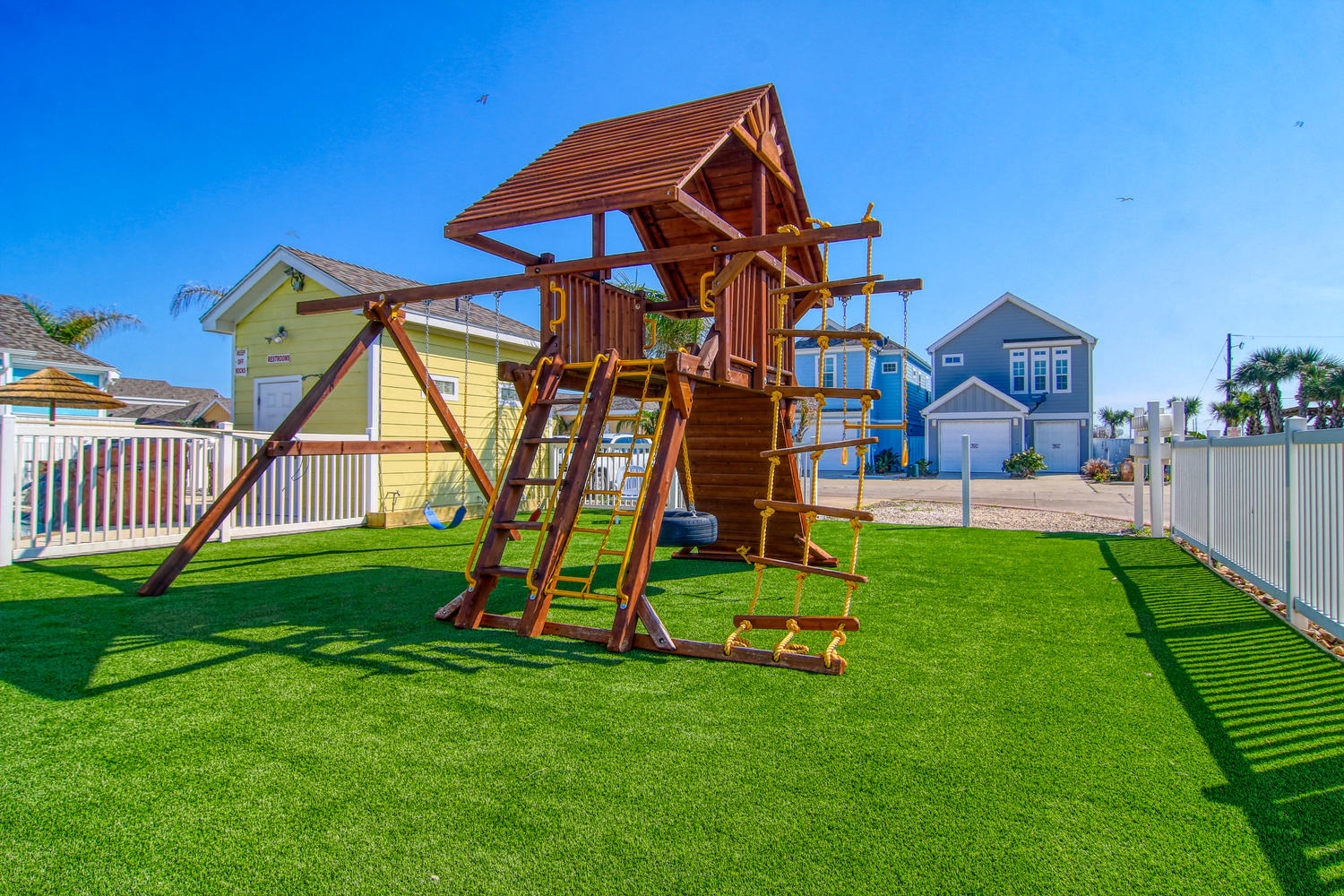 Turtle Time PB213 | Photo 49