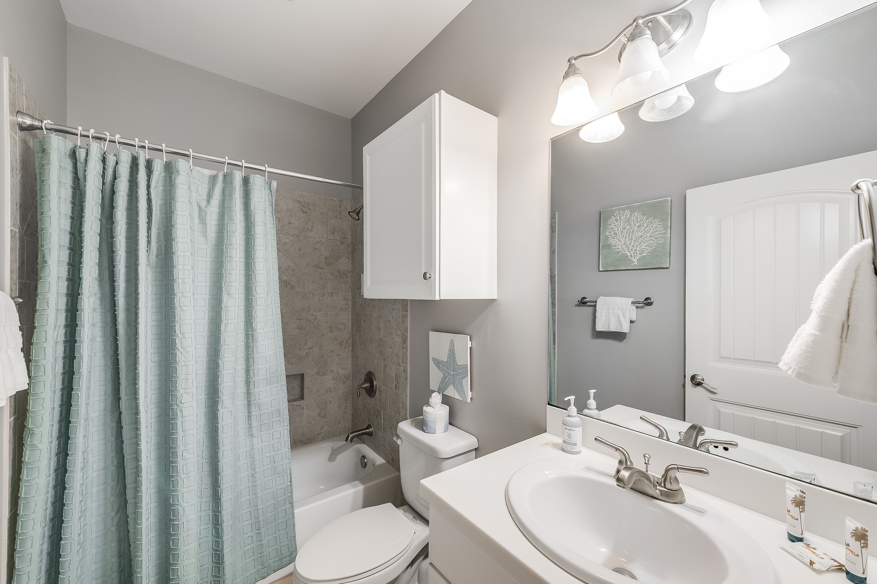 Turtle Time PB213 | Photo 26