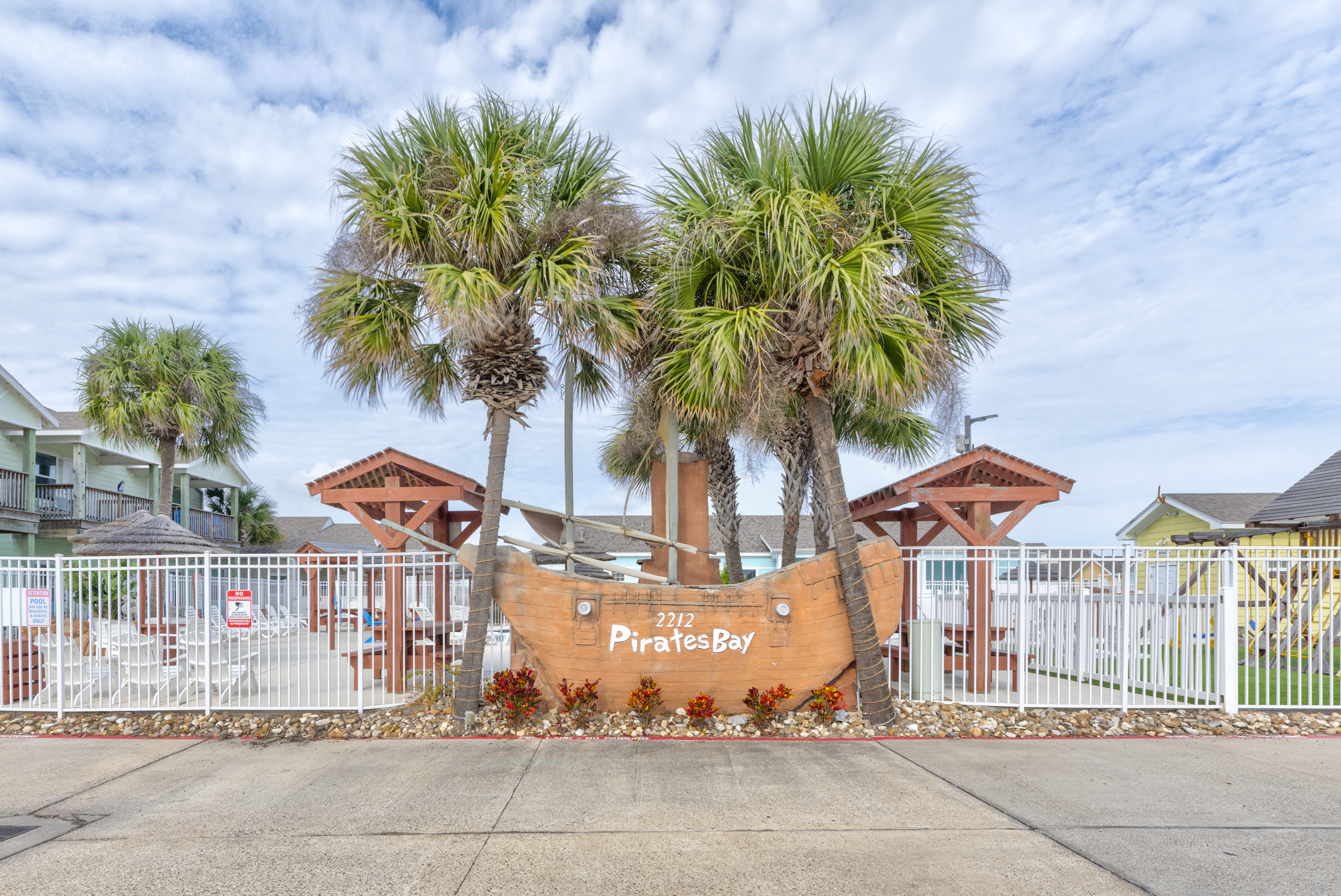 Turtle Time PB213 | Photo 51