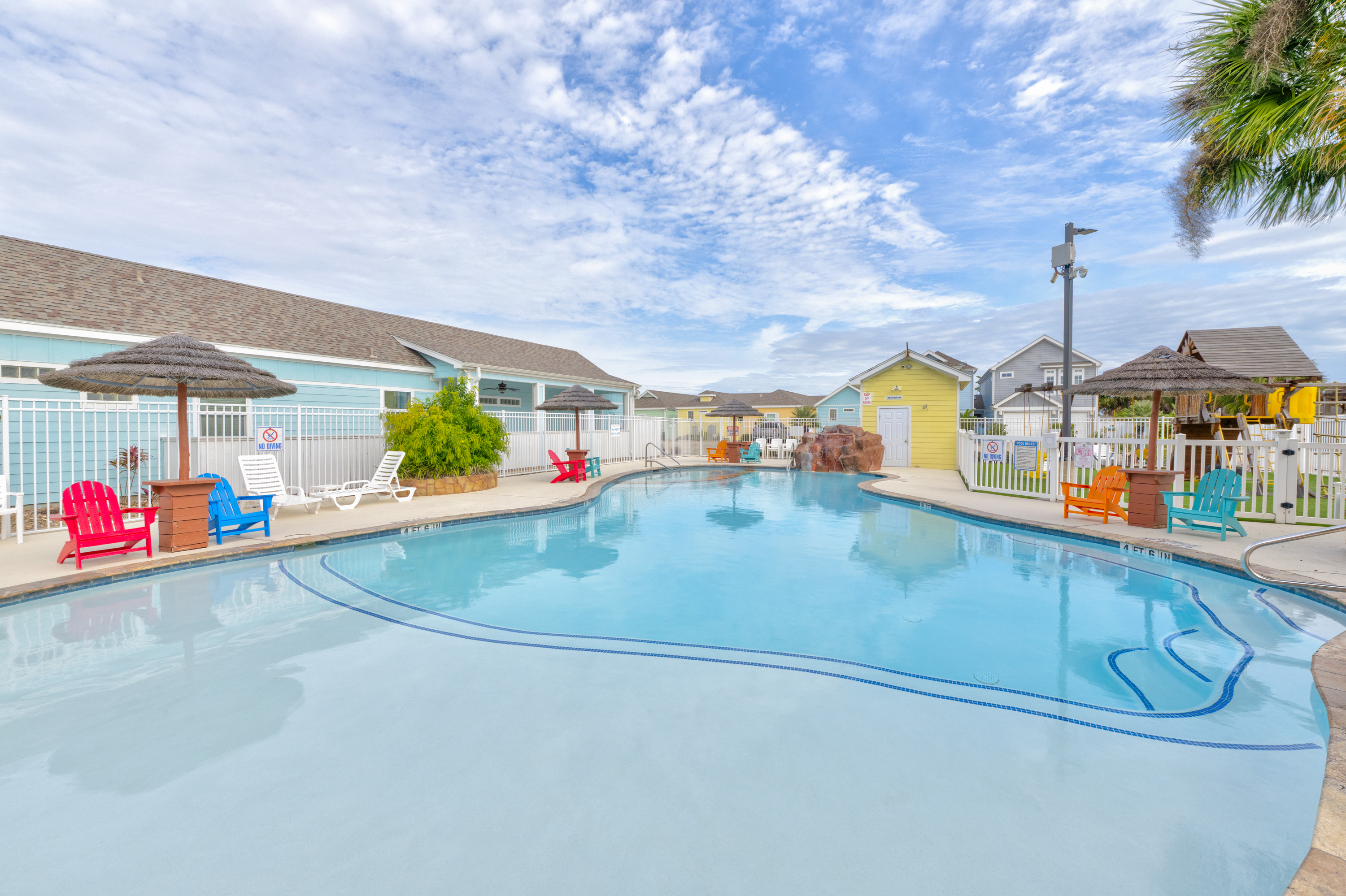 Turtle Time PB213 | Photo 34