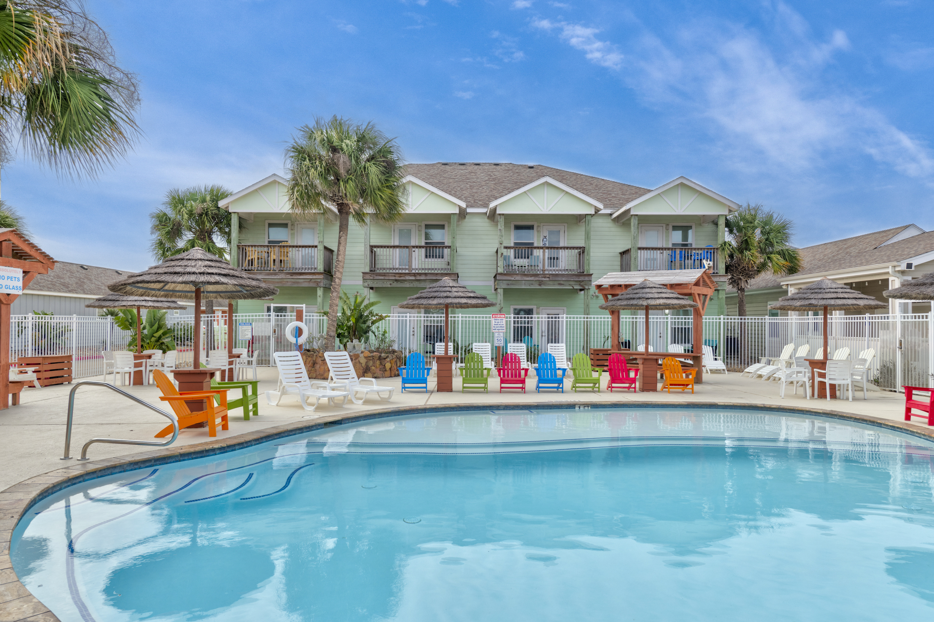 Turtle Time PB213 | Photo 36