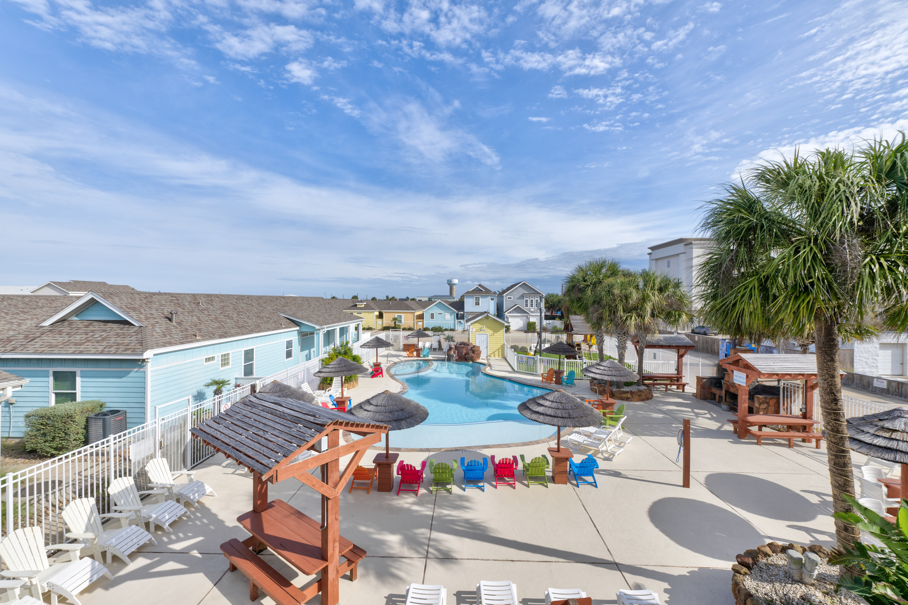 Turtle Time PB213 | Photo 37