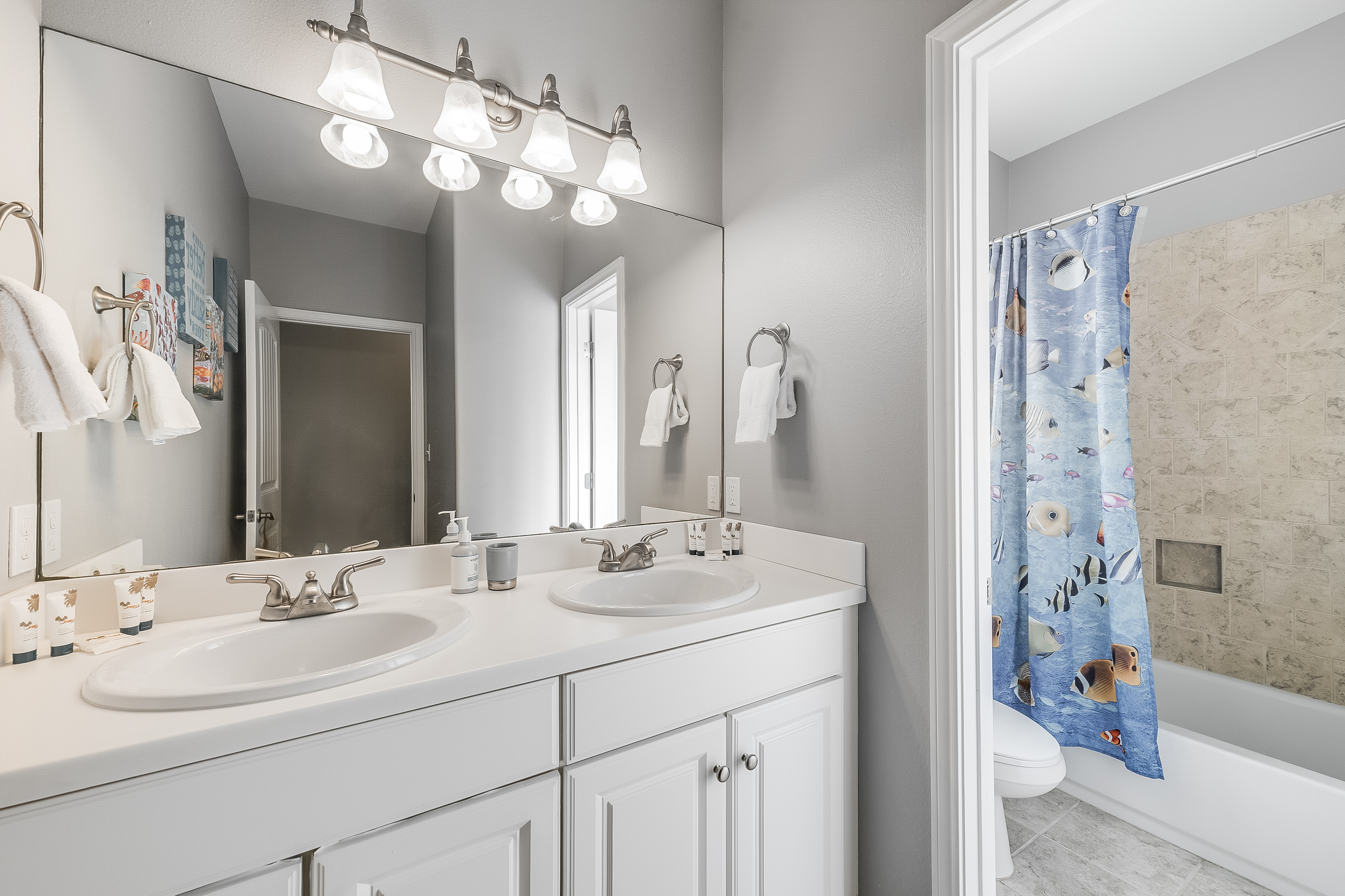 Turtle Time PB213 | Photo 17