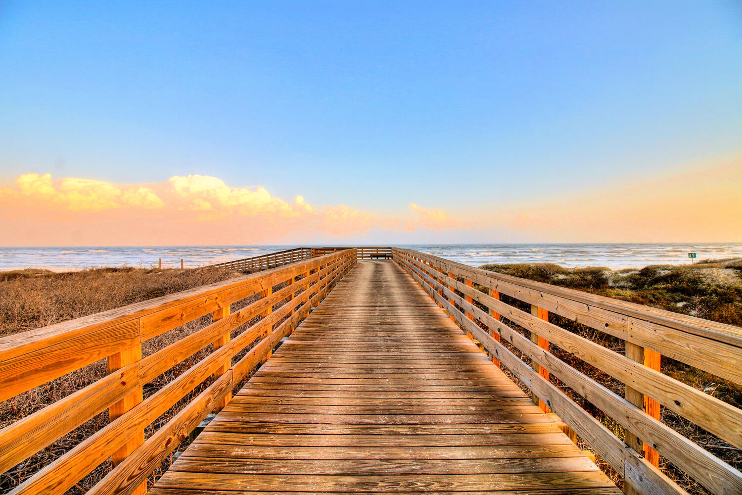 Moon Flower MR155 | Photo 5