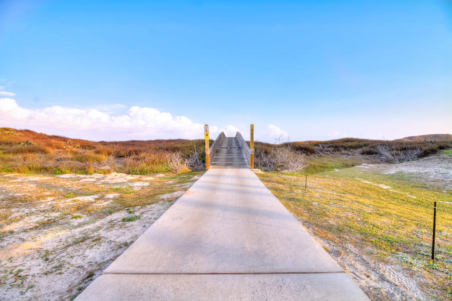 Moon Flower MR155 | Photo 4