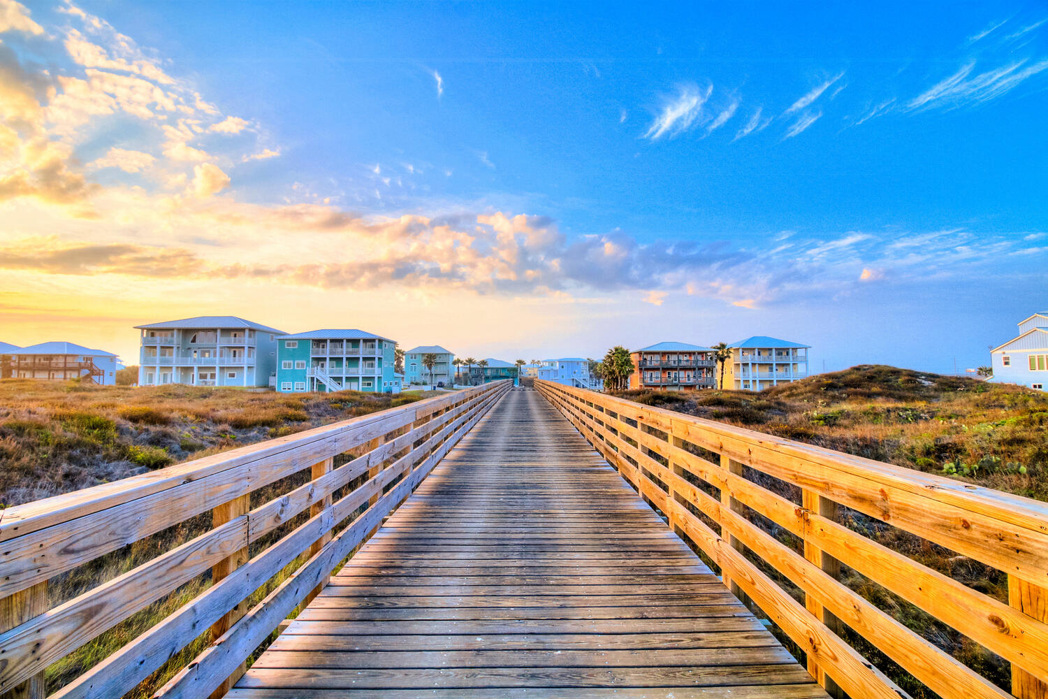 Moon Flower MR155 | Photo 10