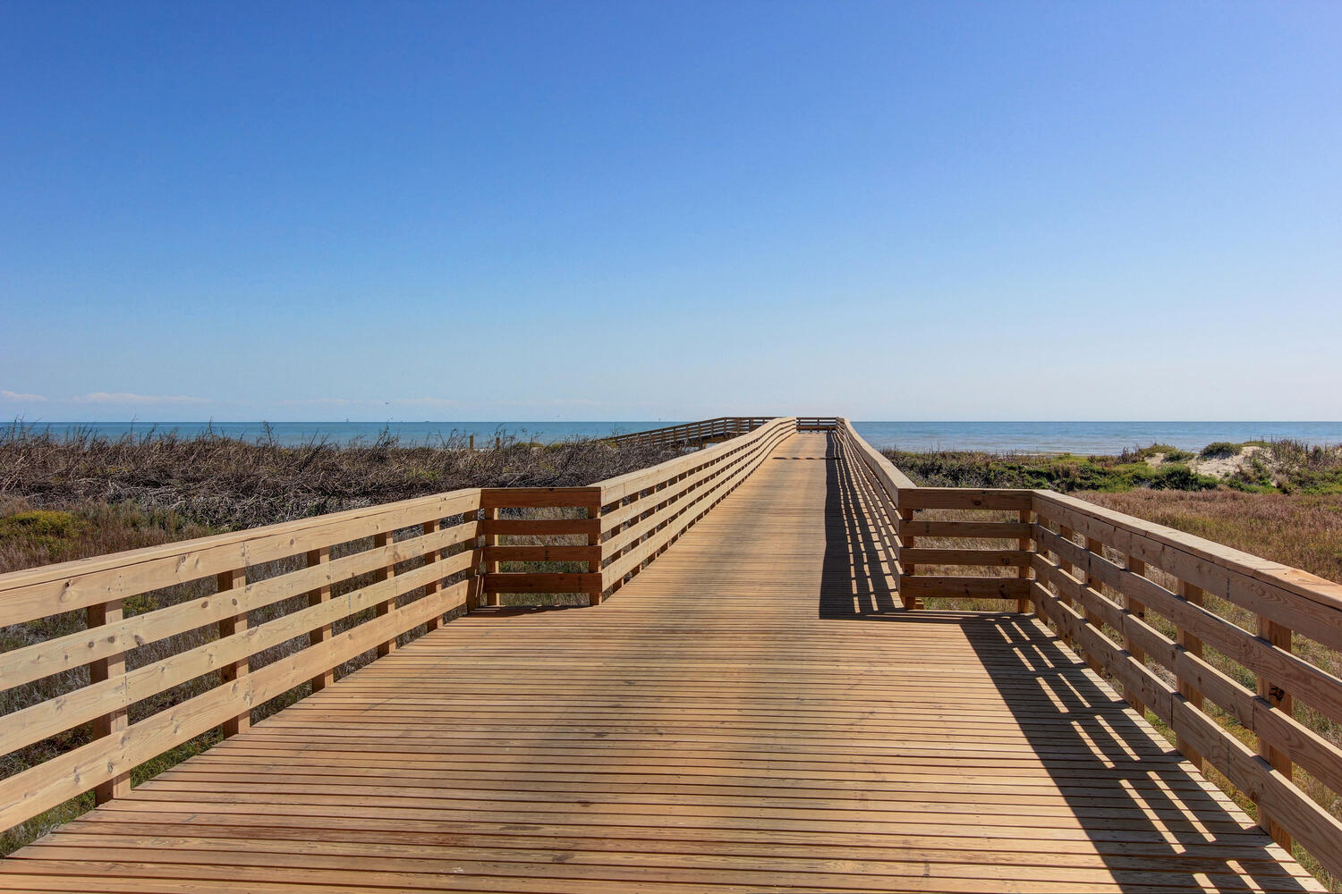 Moon Flower MR155 | Photo 7