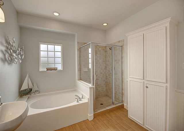 Master bath and shower!