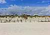 Beach view of the boardwalk