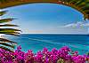 505 Oceanfront Views