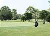 Spanish Wells Golf and Country Club offers golf pay per play options on a championship 27 holes golf course