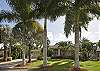 Beautiful Royal palms line the front yard