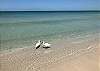 Enjoy the crystal clear water of the Florida Gulf Beaches