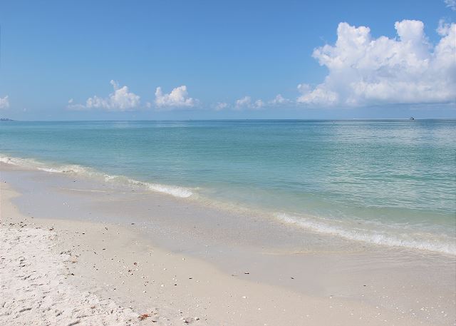 Enjoy the nearby Gulf beaches. Just a short drive or bike ride away!