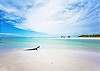 Enjoy the Gulf Beaches!