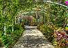 Naples Botanical Garden is a 170-acre world-class garden paradise that features the plants and cultures of the tropics and subtropics including Brazil, the Caribbean, Southeast Asia, and Florida.